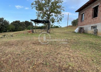 Foto 4 - Terreno agricolo s.s 326 ovest
 
snc, Montepulciano - foto 4