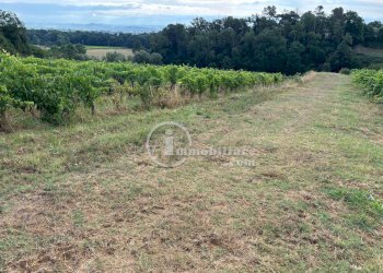 Foto 6 - Terreno agricolo s.s 326 ovest
 
snc, Montepulciano - foto 6