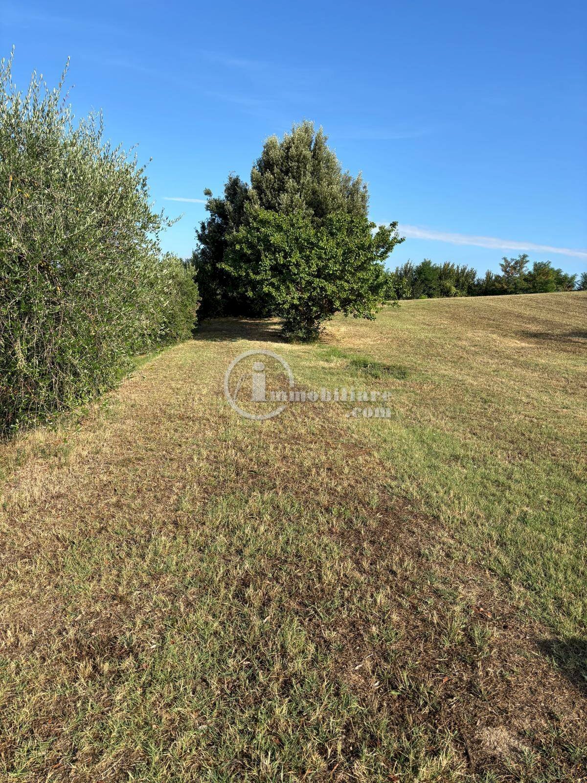 Foto 3 - Terreno agricolo s.s. 326 ovest
 
snc, Montepulciano - foto 3