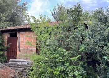 Foto 7 - Terreno agricolo s.s. 326 ovest
 
snc, Montepulciano - foto 7