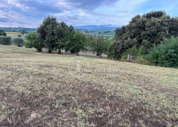 Foto 8 - Terreno agricolo s.s. 326 ovest
 
snc, Montepulciano - foto 8