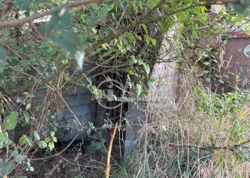 Foto 17 - Terreno agricolo s.s. 326 ovest
 
snc, Montepulciano - foto 17