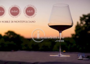 Foto 20 - Terreno agricolo s.s. 326 ovest
 
snc, Montepulciano - foto 20