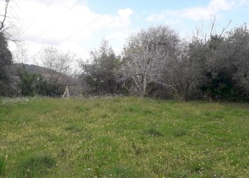 Foto 10 - Casa indipendente Via Cugnoli, Turrivalignani - foto 10