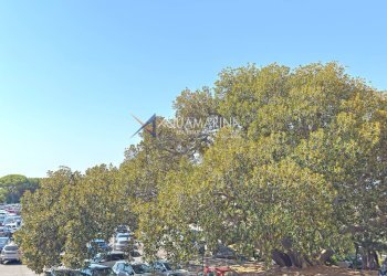 Foto 4 - Trilocale Bordighera - foto 4