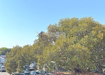 Foto 10 - Trilocale Bordighera - foto 10