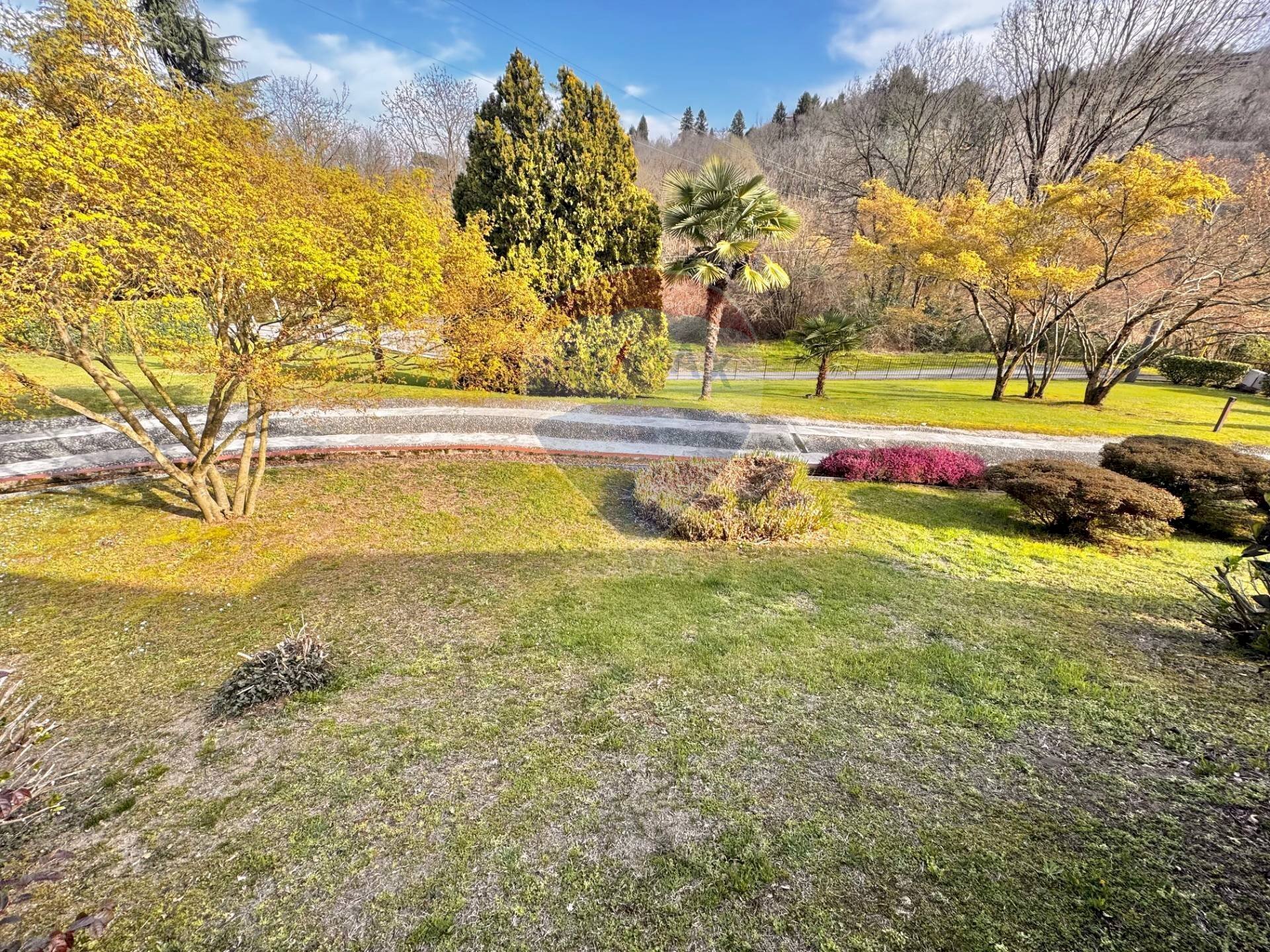 Giardino - Villa Arona - foto 3