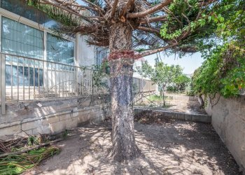 Giardino - Villa Contrada Marina di Marza Via Etnea
 
snc, Ispica - photo 12