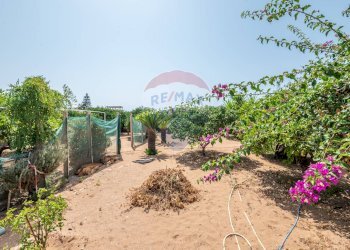 Giardino - Villa Contrada Marina di Marza Via Etnea
 
snc, Ispica - photo 34