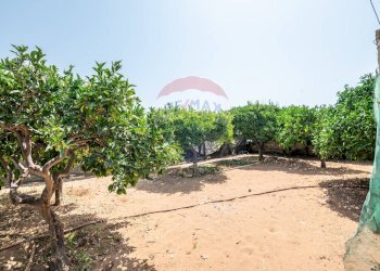 Giardino - Villa Contrada Marina di Marza Via Etnea
 
snc, Ispica - photo 35