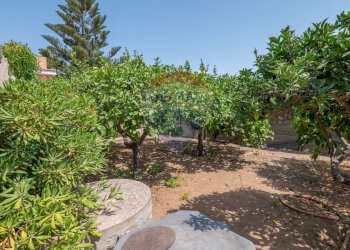 Giardino - Villa Contrada Marina di Marza Via Etnea
 
snc, Ispica - photo 36