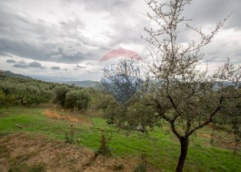 Vista delle montagne - Independent house C.da Pantanelle
 
8, Bucchianico - photo 12