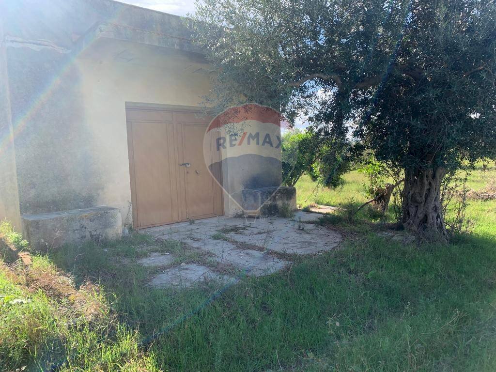 Giardino - Terreno agricolo SS113, Terrasini - foto 3