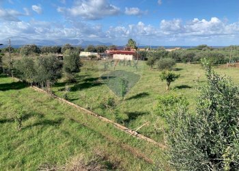 Vista delle montagne - Terreno agricolo SS113, Terrasini - foto 5
