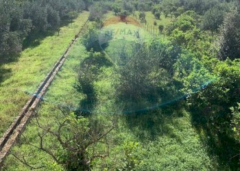 Vista delle montagne - Terreno agricolo SS113, Terrasini - foto 6