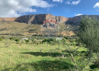 Vista delle montagne - Terreno agricolo SS113, Terrasini - foto 10