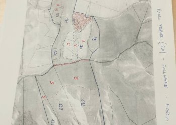 Foto 1 - Terreno agricolo strada provinciale
 
00, Riolo Terme - foto 1