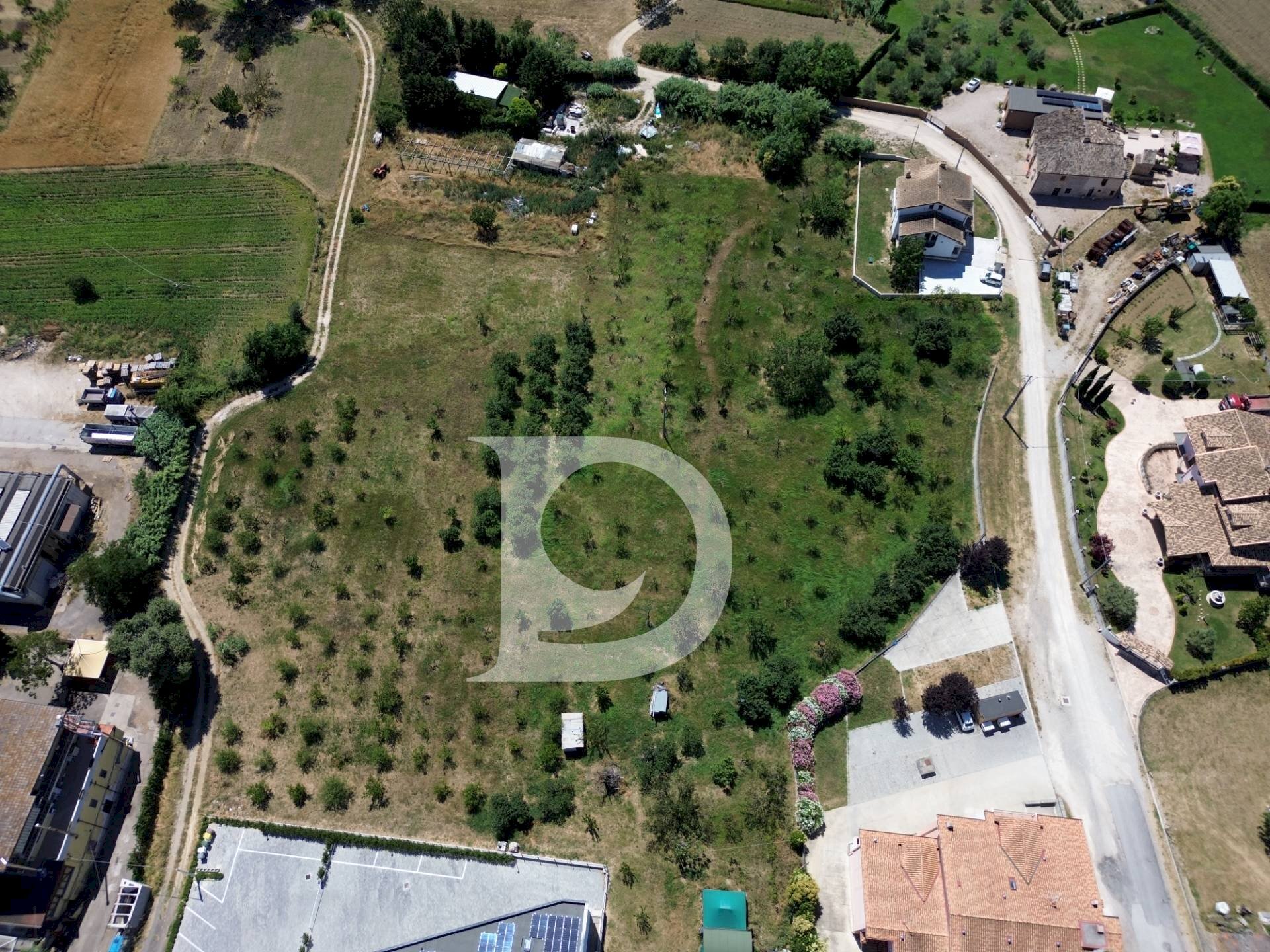 Foto 3 - Terreno edificabile Collecorvino - foto 3