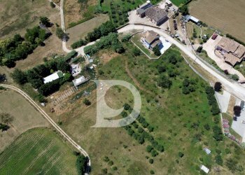 Foto 6 - Terreno edificabile Collecorvino - foto 6