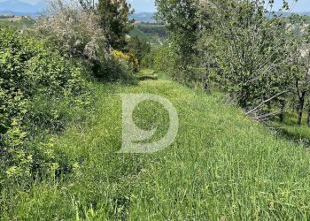 Foto 10 - Terreno agricolo Contrada Cagno, Atri - foto 10