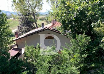 Foto 8 - Casa indipendente Via dei Platani
 
88, Pianella - foto 8