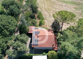 Foto 9 - Casa indipendente Via dei Platani
 
88, Pianella - foto 9