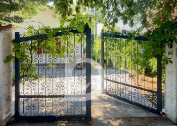 Foto 22 - Casa indipendente Via dei Platani
 
88, Pianella - foto 22