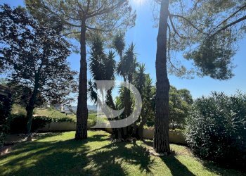 Foto 88 - Casa indipendente Via dei Platani
 
88, Pianella - foto 88