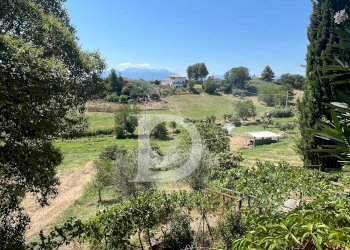 Foto 97 - Casa indipendente Via dei Platani
 
88, Pianella - foto 97