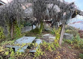 Giardino - Terreno edificabile via Moncrivello, 26, Carignano - foto 2