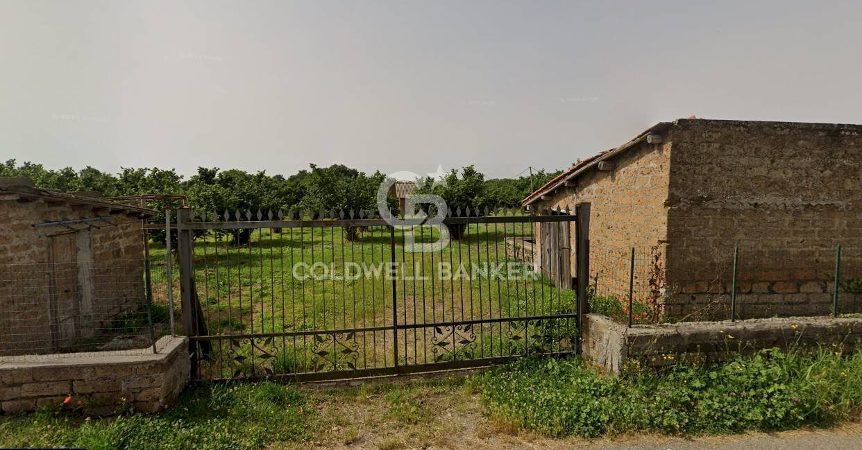 Foto 2 - Casa indipendente strada degli orti, Nepi - foto 2