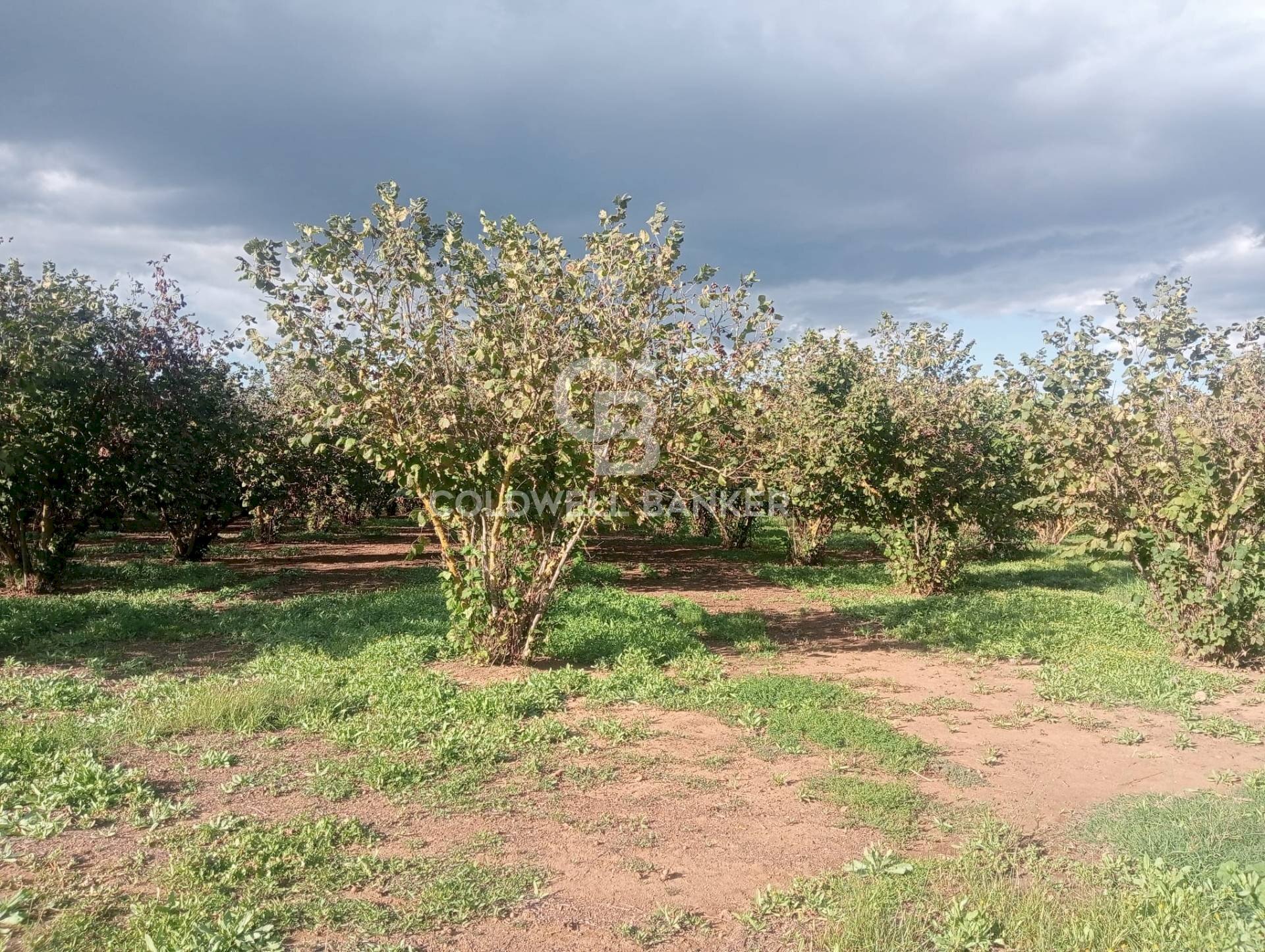 Foto 3 - Casa indipendente strada degli orti, Nepi - foto 3