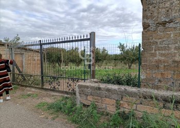 Foto 5 - Casa indipendente strada degli orti, Nepi - foto 5