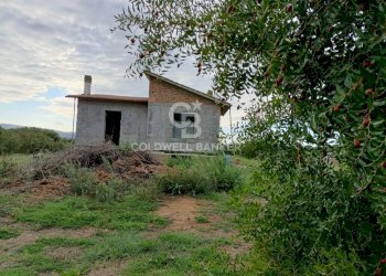 Foto 11 - Casa indipendente strada degli orti, Nepi - foto 11