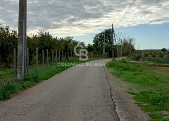 Foto 17 - Casa indipendente strada degli orti, Nepi - foto 17