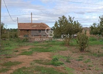 Foto 19 - Casa indipendente strada degli orti, Nepi - foto 19