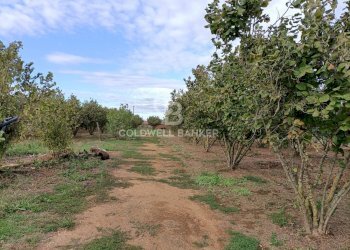 Foto 24 - Casa indipendente strada degli orti, Nepi - foto 24