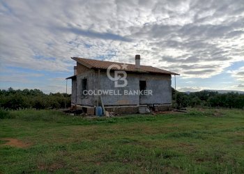 Foto 33 - Casa indipendente strada degli orti, Nepi - foto 33