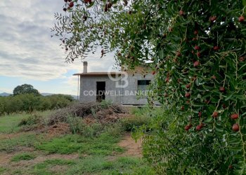 Foto 34 - Casa indipendente strada degli orti, Nepi - foto 34