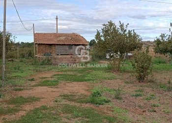 Foto 35 - Casa indipendente strada degli orti, Nepi - foto 35