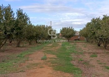 Foto 37 - Casa indipendente strada degli orti, Nepi - foto 37