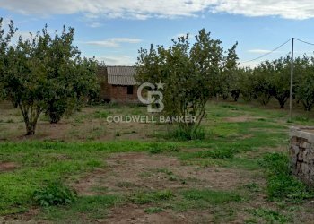 Foto 38 - Casa indipendente strada degli orti, Nepi - foto 38