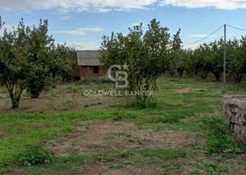 Foto 39 - Casa indipendente strada degli orti, Nepi - foto 39