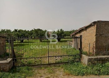 Foto 2 - Casa indipendente strada degli orti, Nepi - foto 2