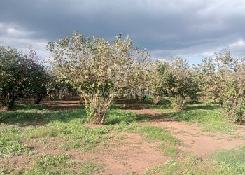 Foto 3 - Casa indipendente strada degli orti, Nepi - foto 3