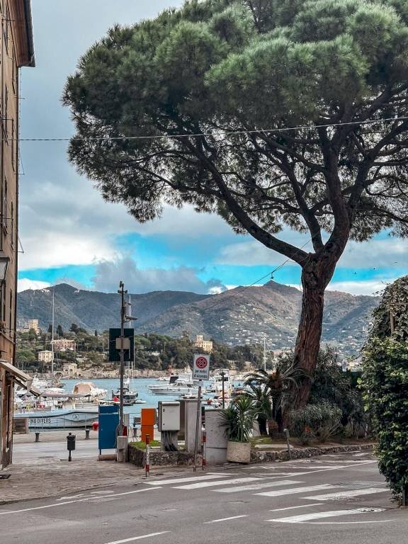 Vista - Commercial Activity via Jacopo Ruffini, Santa Margherita Ligure - photo 3