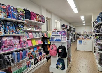 Interno non residenziale - Cartoleria - Libreria corso Camillo Benso di Cavour, 27, Acqui Terme - foto 5