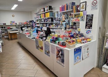 Interno non residenziale - Cartoleria - Libreria corso Camillo Benso di Cavour, 27, Acqui Terme - foto 9