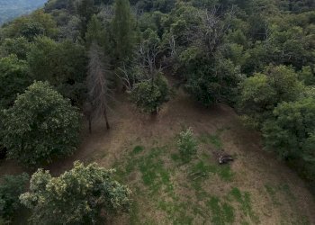 Casa indipendente Regione Ricogno Murassone , 7, Dronero - foto 9