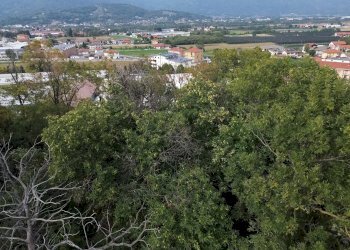 Casa indipendente Regione Ricogno Murassone , 7, Dronero - foto 10